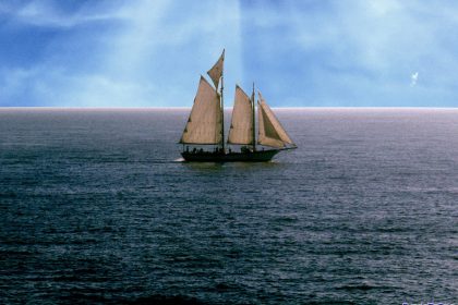 Navegar sem destino